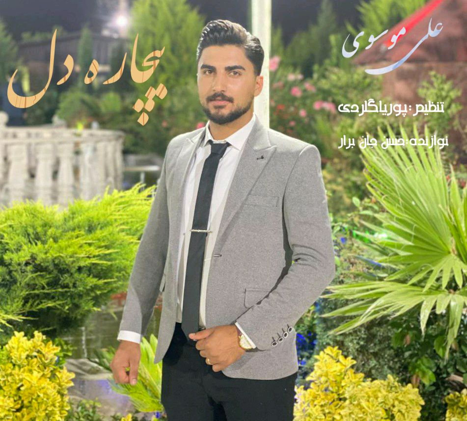 دانلود آهنگ بیچاره دل علی موسوی